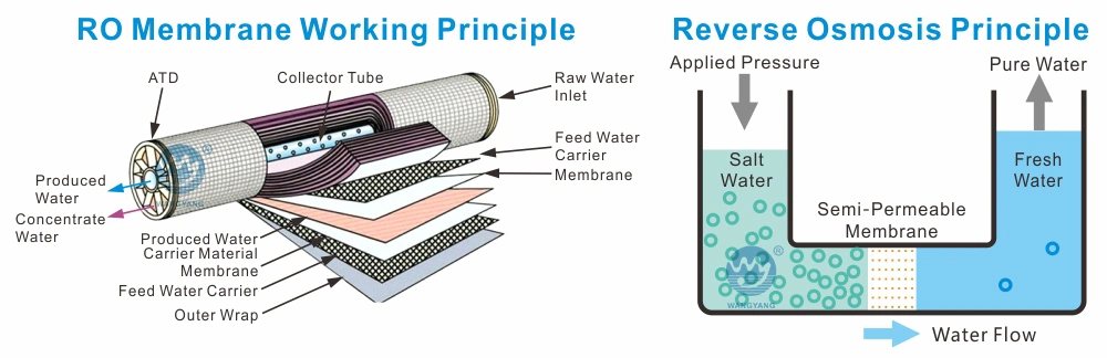 Small Capacity Seawater Desalination Ultrafilter Equipment for Salt Water Treatment Plant